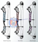 Preview: Compoundbogen X38 von TOPOINT - Cam XL - Dual-Color