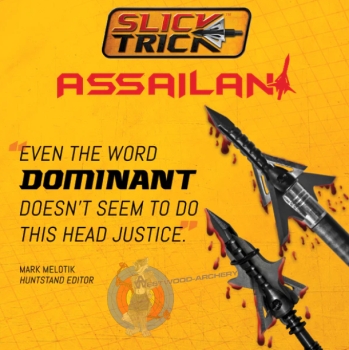 Preview: Jagdspitze ASSAILANT von SLICK TRICK - 3 Pack.