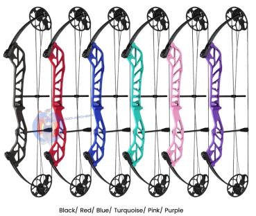 Preview: Compoundbogen STARTING 36 von TOPOINT