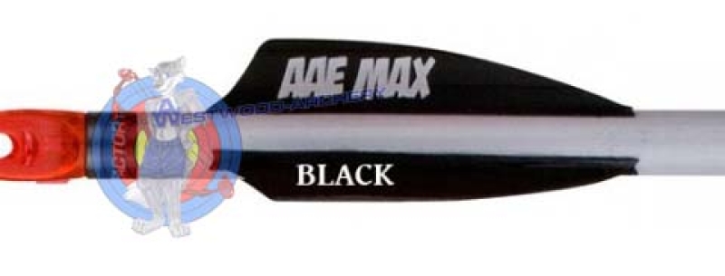 MAX Vane PM-20 von AAE ARCHERY