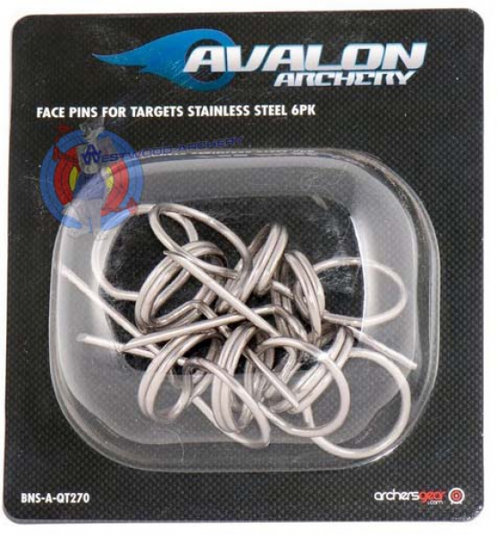 Scheibennägel STEEL von AVALON - Six-Pack