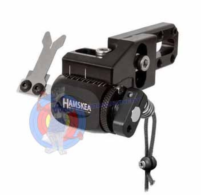 HYBRID TARGET PRO MICRO-TUNE von HAMSKEA