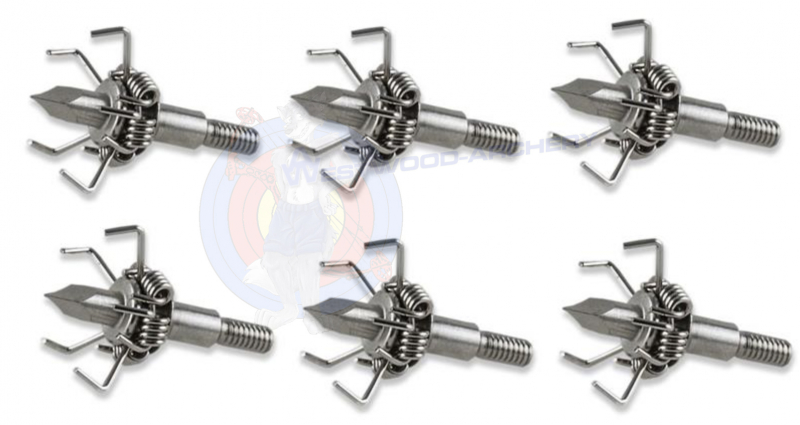 LETHAL-JUDO Point im SIX-Pack von MAXIMAL