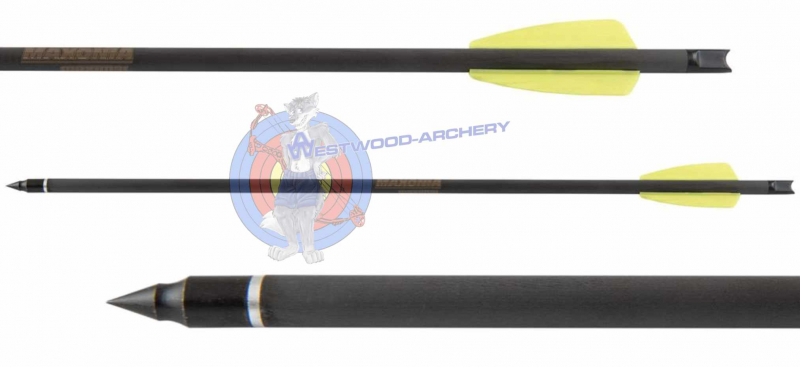Carbonpfeile für COBRA SYSTEM R9 von MAXIMAL - 15 Zoll