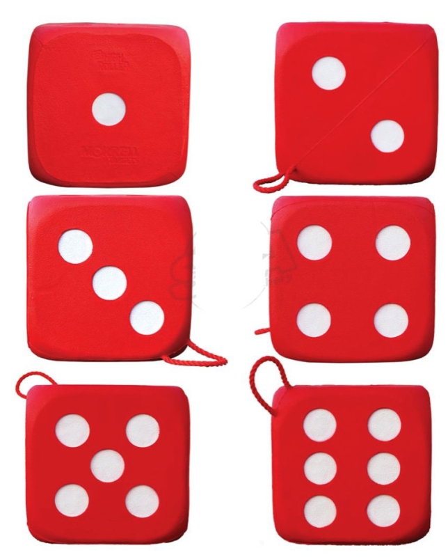 Schießwürfel HIGH ROLLER von MORRELL