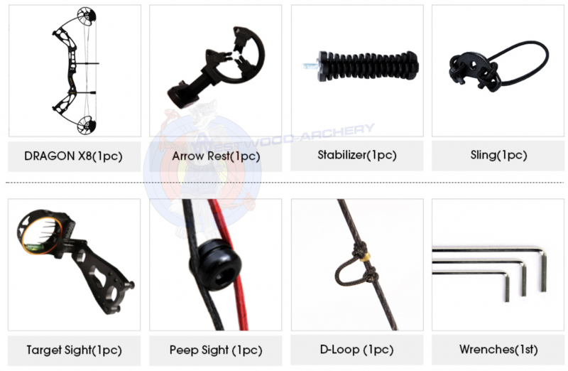 Compoundbogen-Package DRAGON X8 PRO von SANLIDA