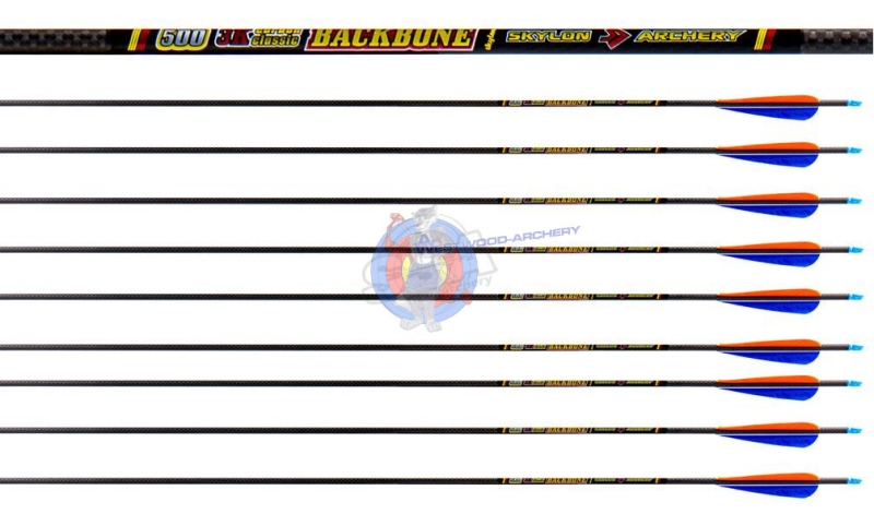 Fertigpfeil BACKBONE ID5.2 von SKYLON - SIX-Pack