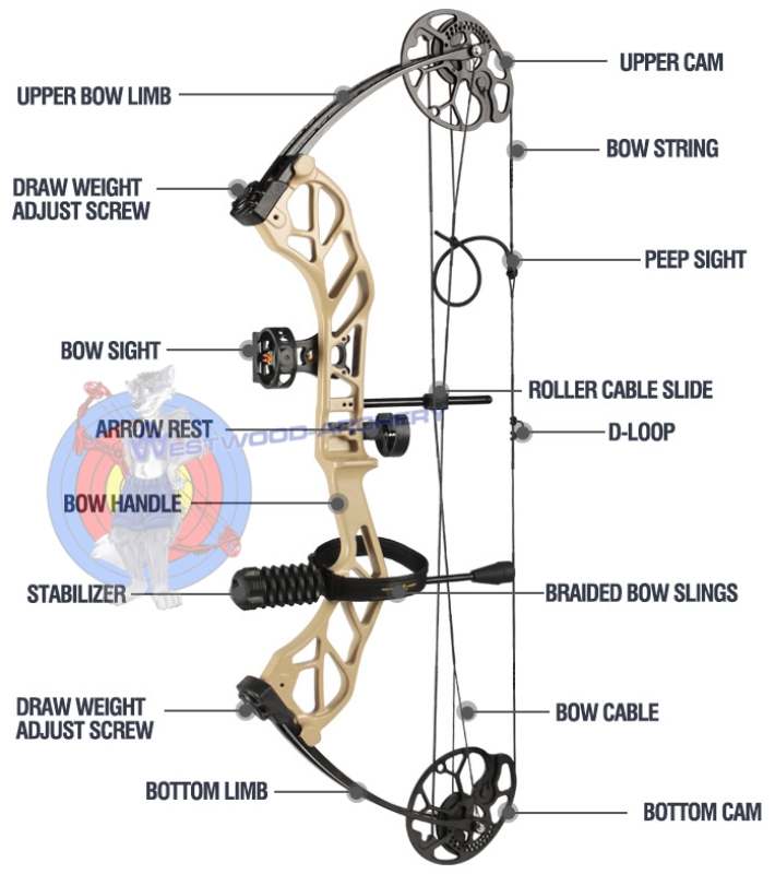 Compoundbogen-Set STARTING 31 von TOPOINT