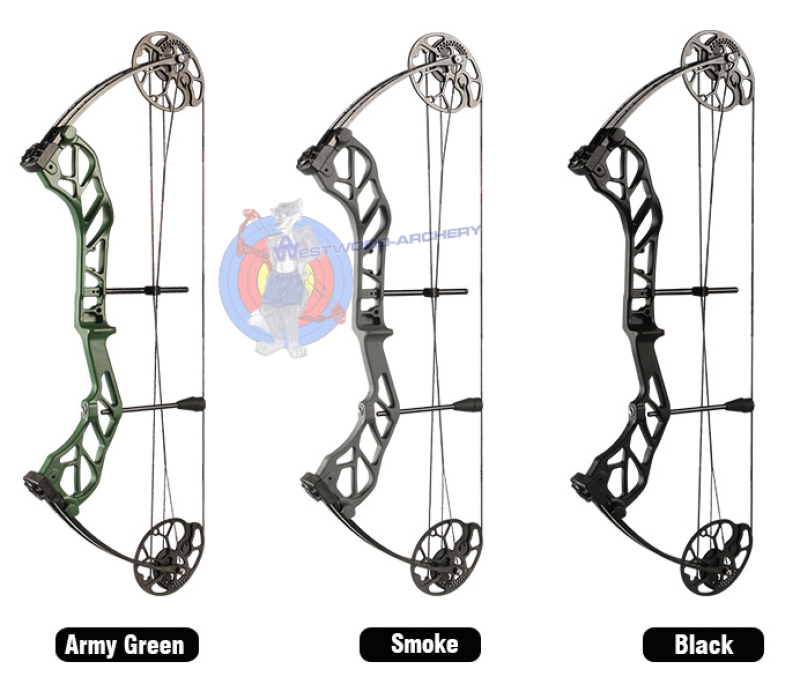 Compoundbogen-Set STARTING 31 von TOPOINT