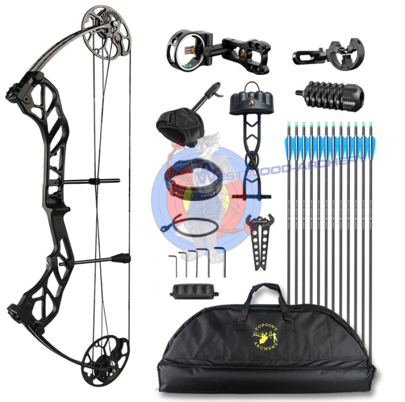 Compoundbogen-Set STARTING 31 von TOPOINT