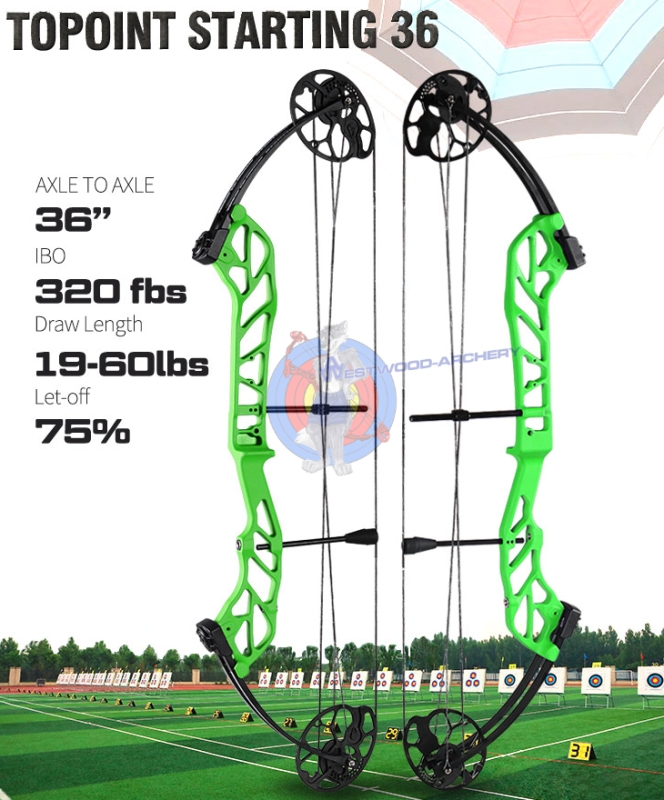 Compoundbogen STARTING 36 von TOPOINT