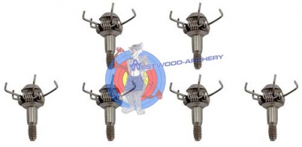 CAPTIVE-JUDO Point im SIX-Pack von MAXIMAL